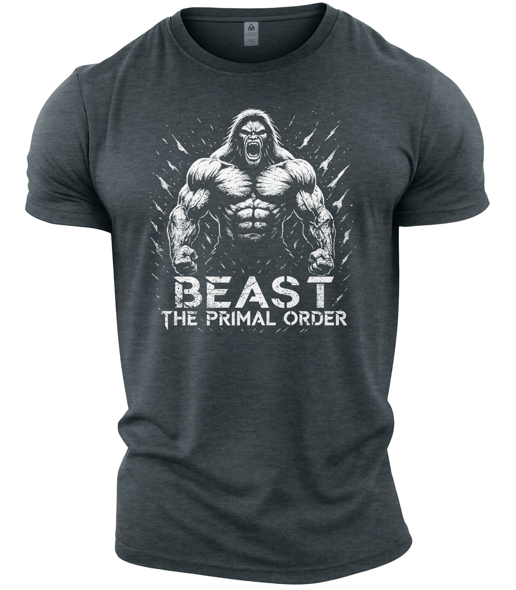 GYMTIER-TPOBEASTWARRIOR-GD001 - DHEA